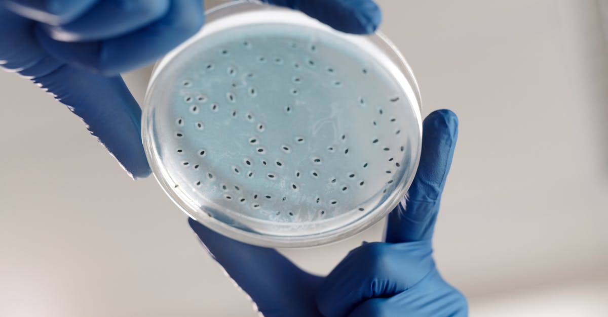 GSK e Fleming Initiative: l’IA avanzata contro la resistenza antimicrobica 