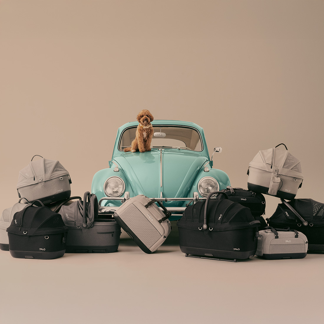 Pet Safety Day by Tavo per viaggiare sicuri con i pets